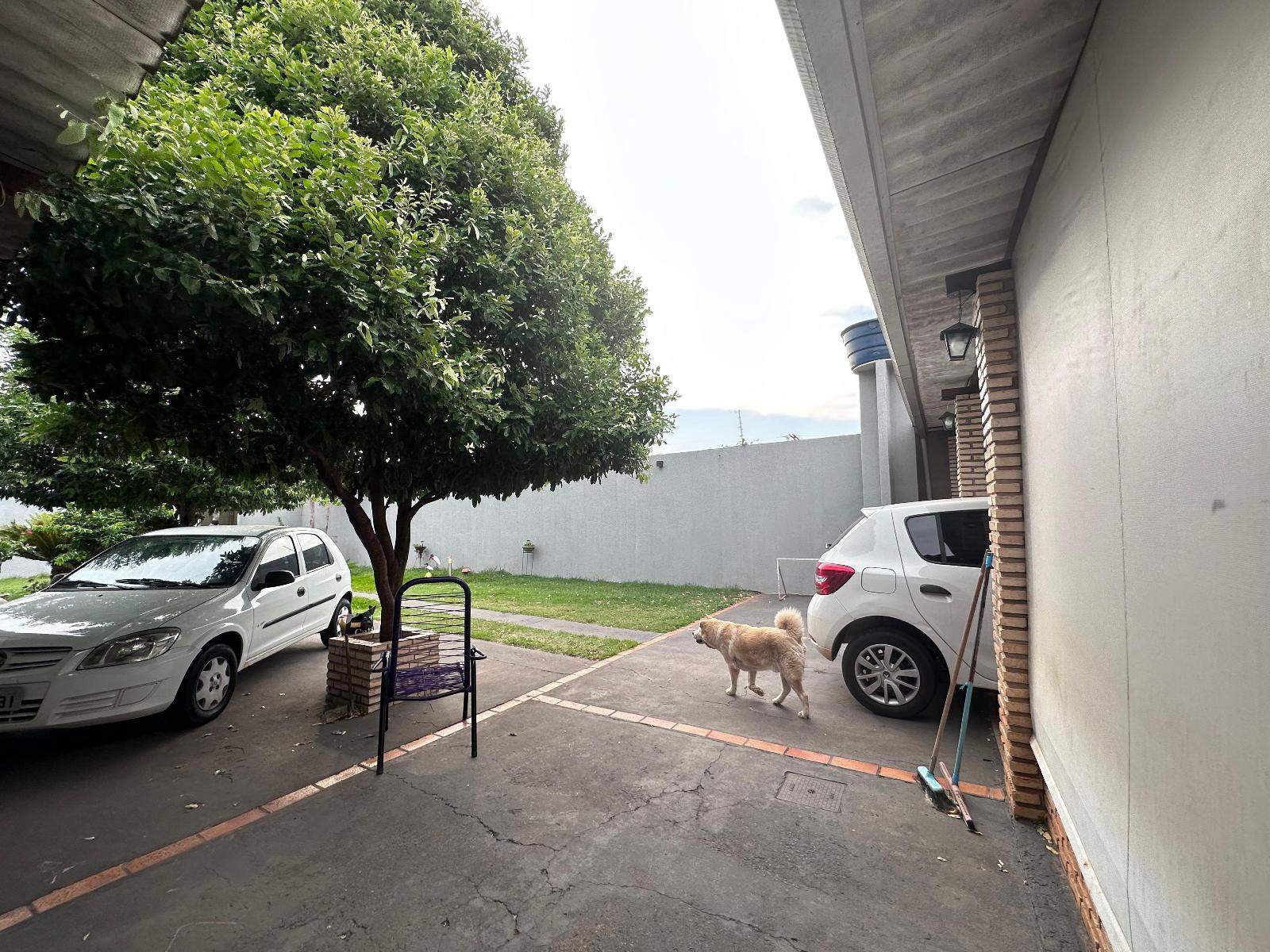 Casa Térrea à venda no Vila Adelina: 