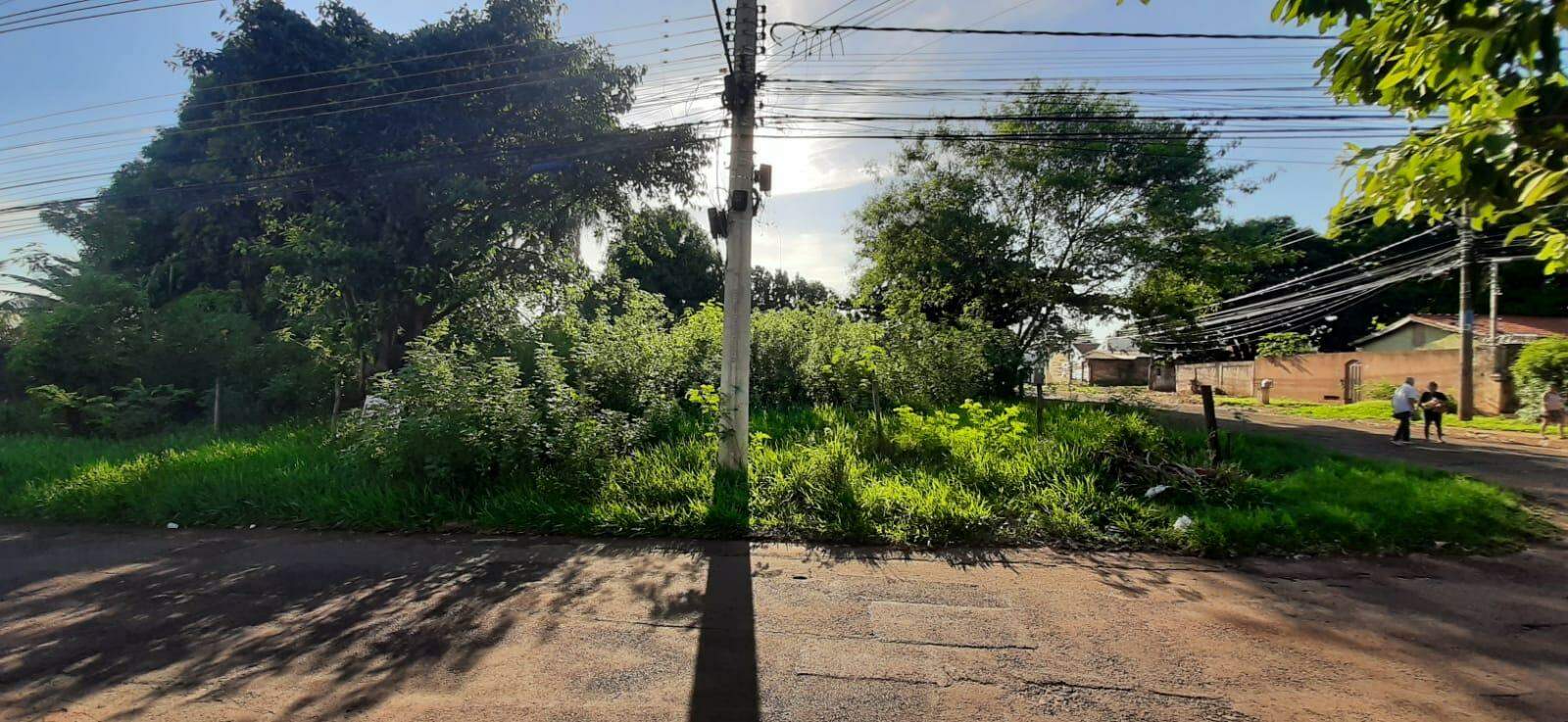 Terreno à venda no Vila Albuquerque: 