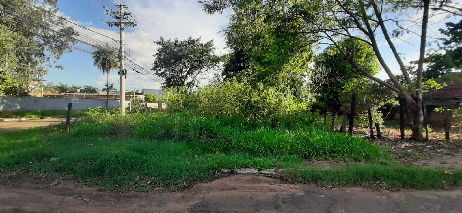 Terreno à venda no Vila Albuquerque: 