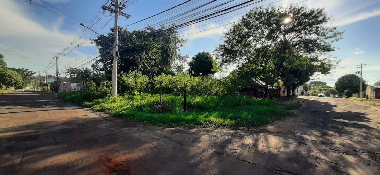 Terreno à venda no Vila Albuquerque: 