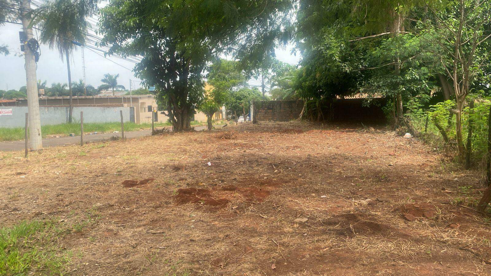 Terreno à venda no Vila Albuquerque: 