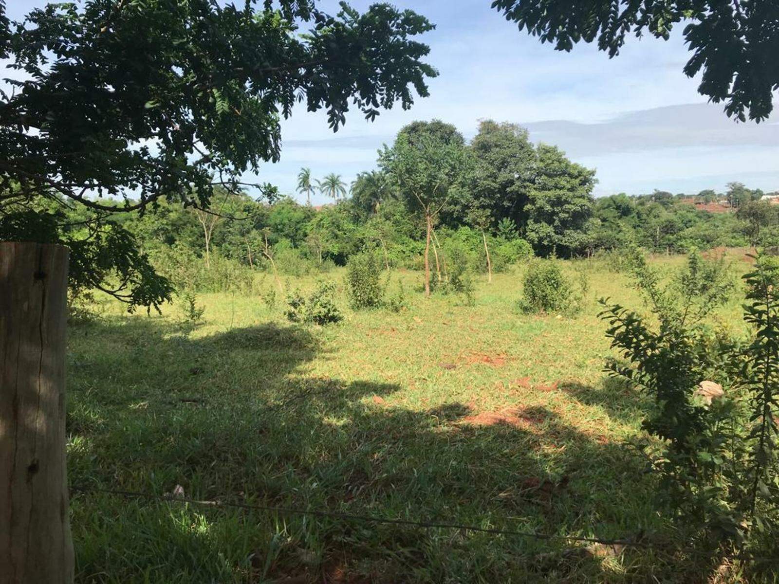 Terreno à venda no Jardim Centenário: 