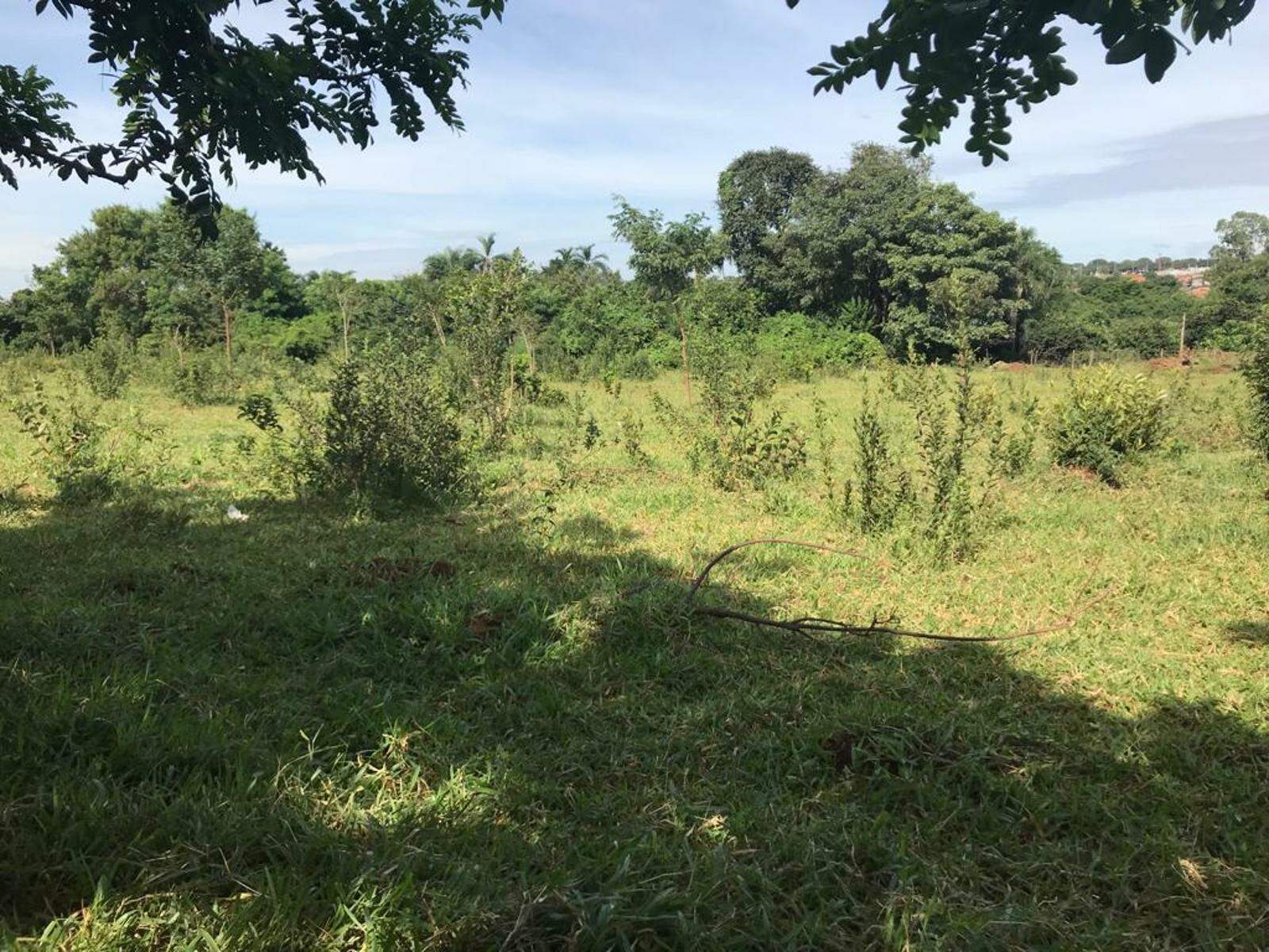 Terreno à venda no Jardim Centenário: 