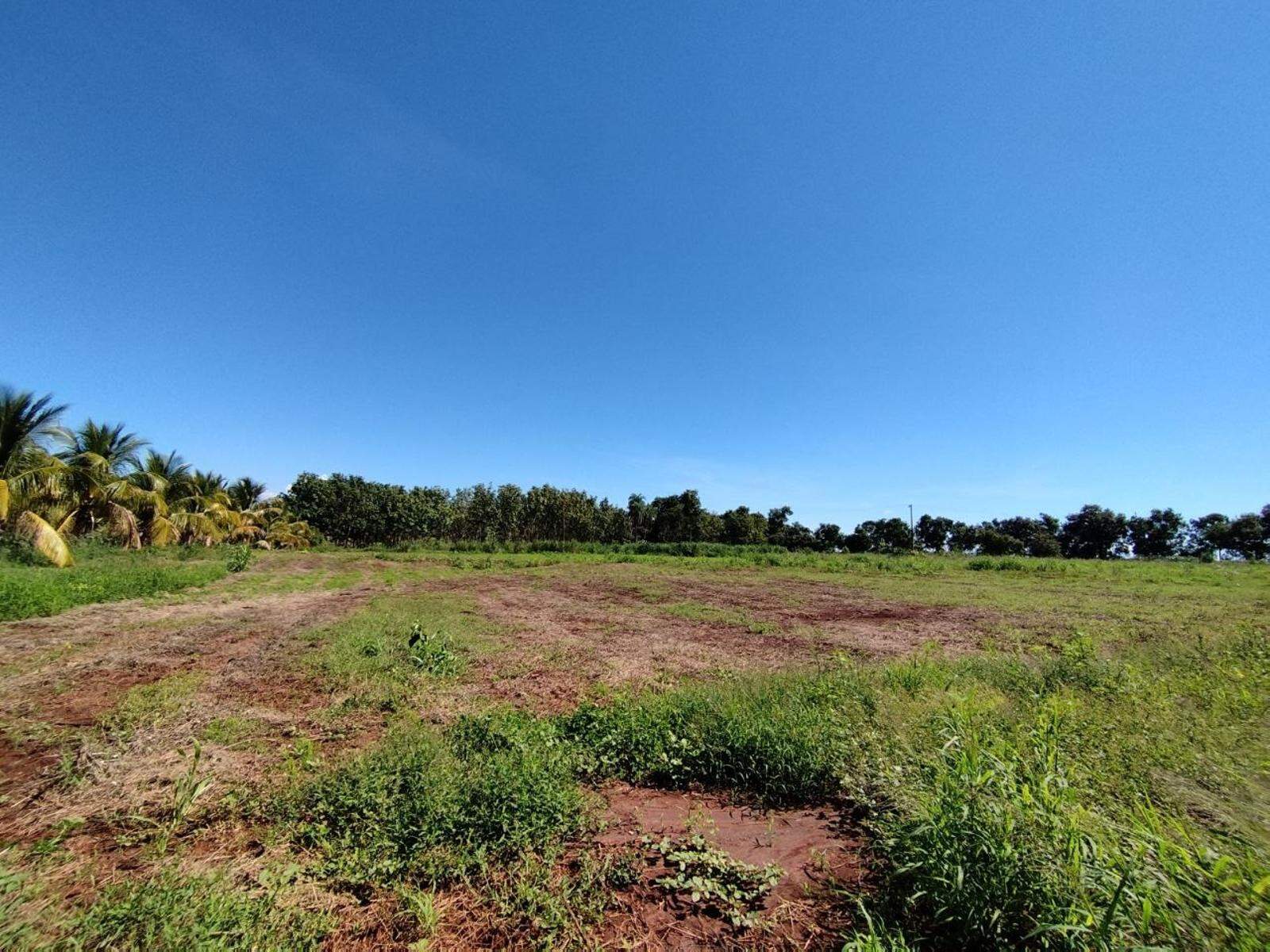 Chácara à venda no Zona Rural: 
