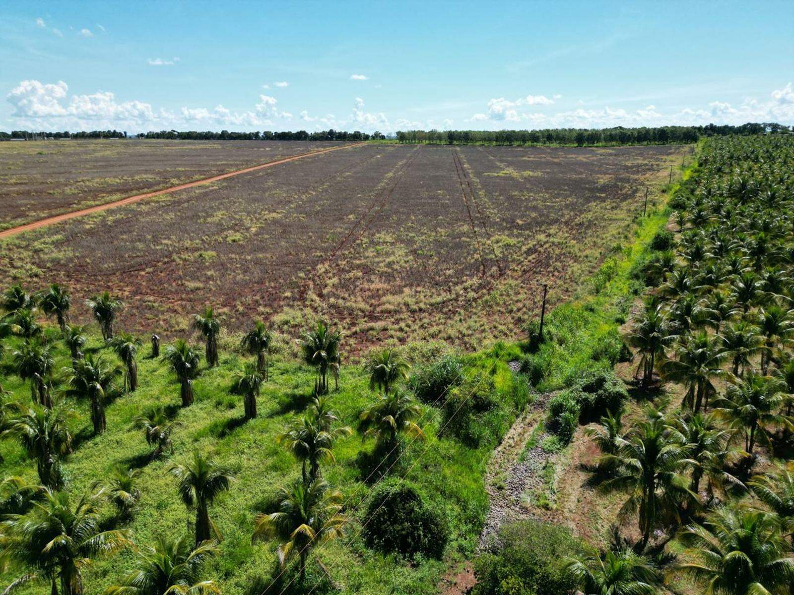 Chácara à venda no Zona Rural: 