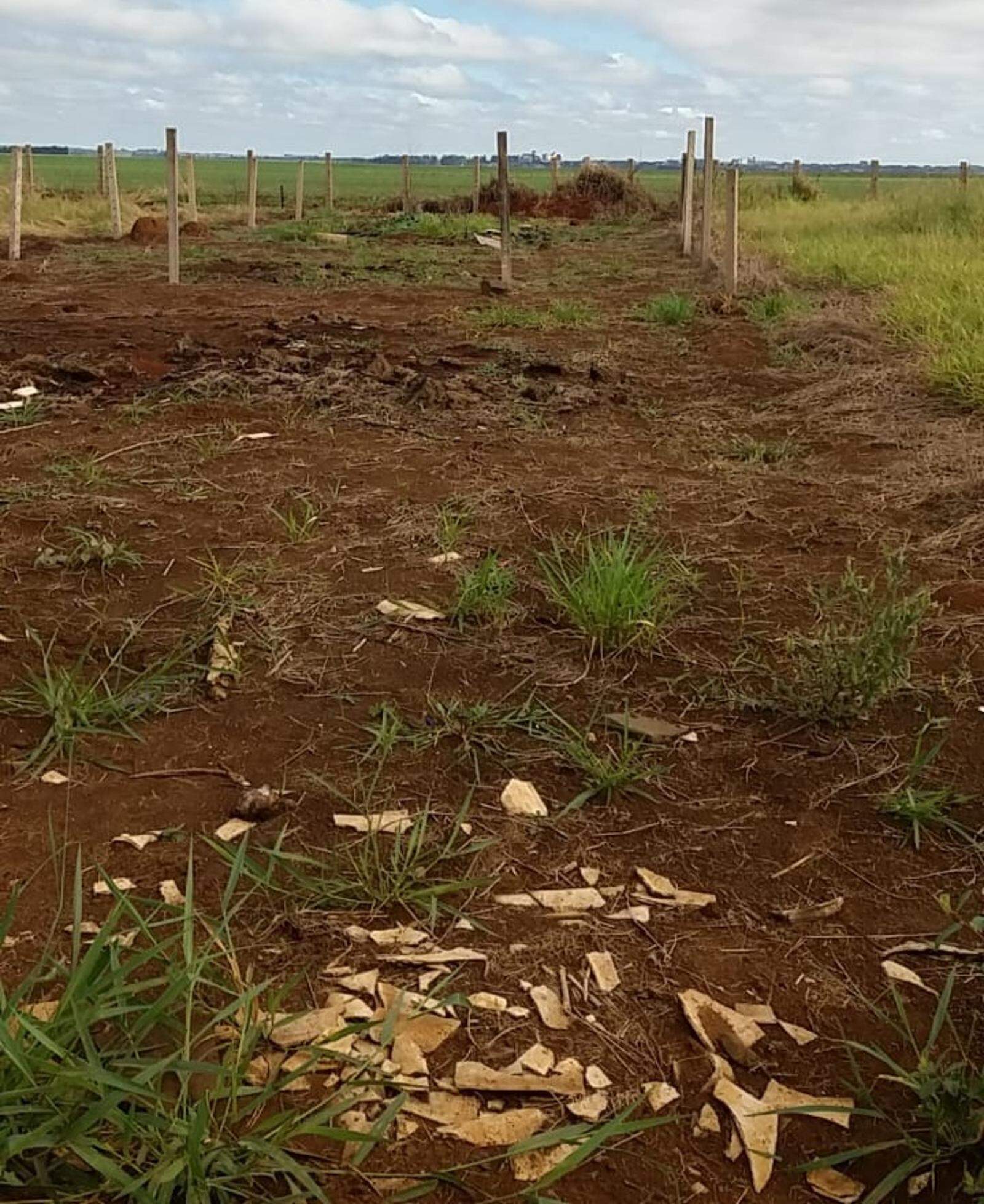 Terreno à venda no Jardim São Conrado: 