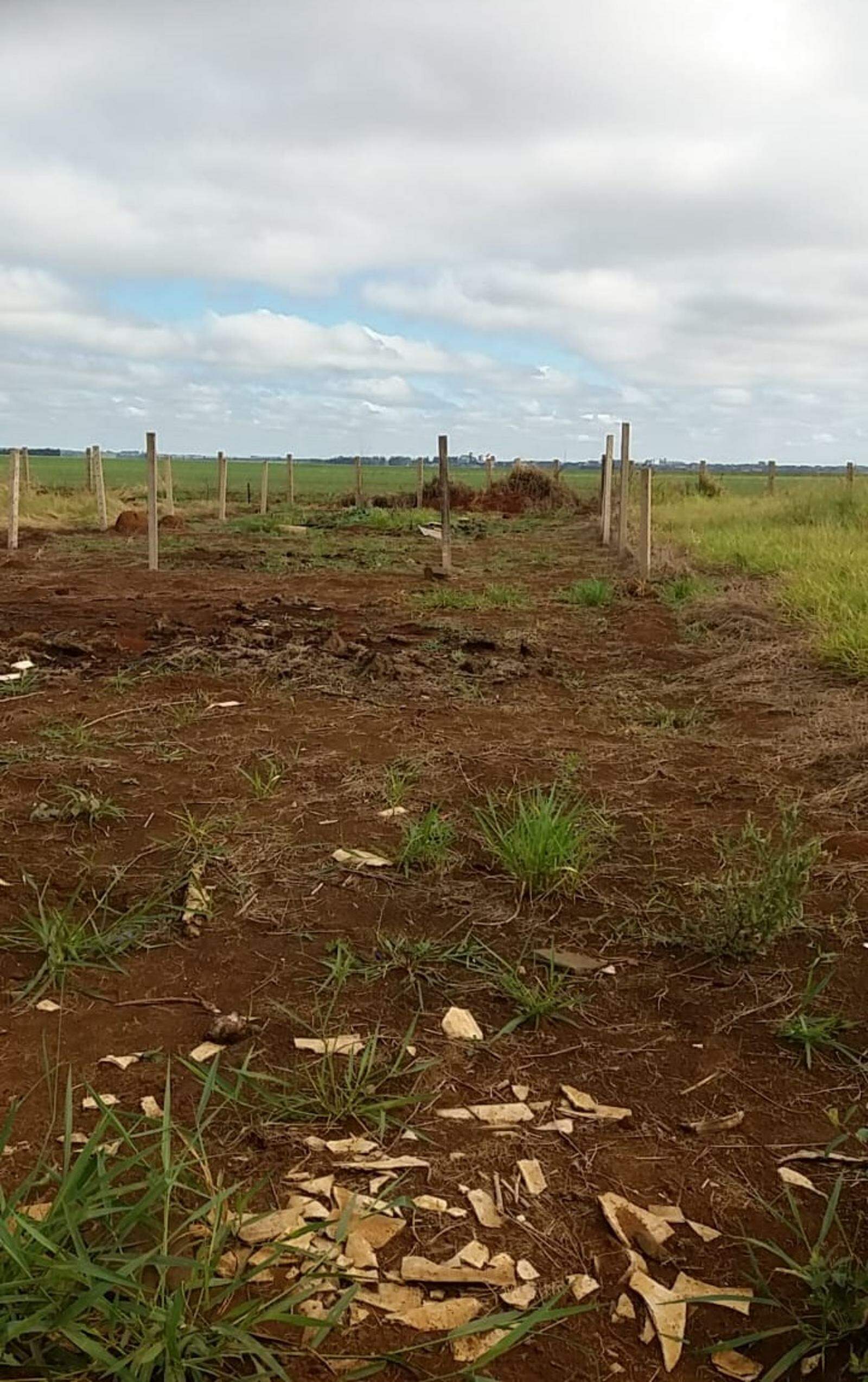 Terreno à venda no Jardim São Conrado: 
