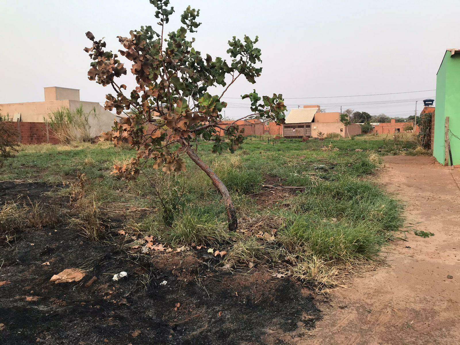 Terreno à venda no Vila Nasser: 