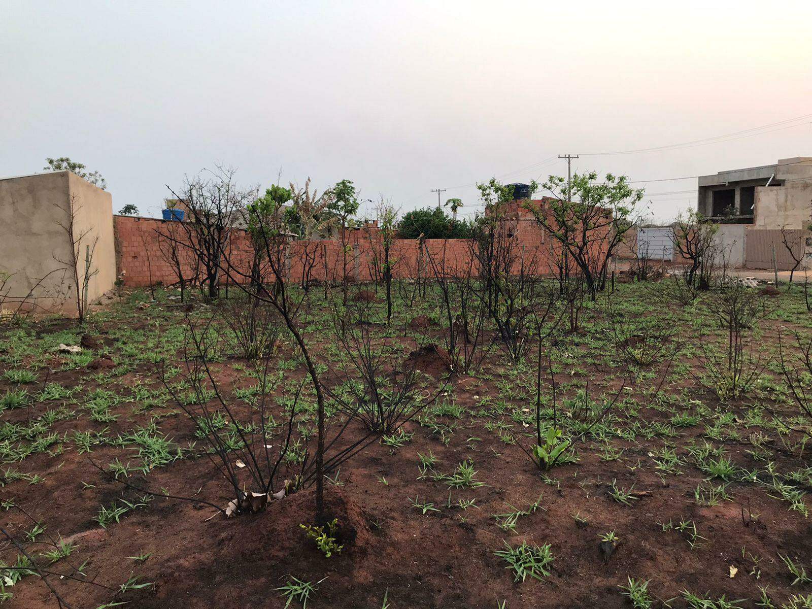Terreno à venda no Vila Nasser: 
