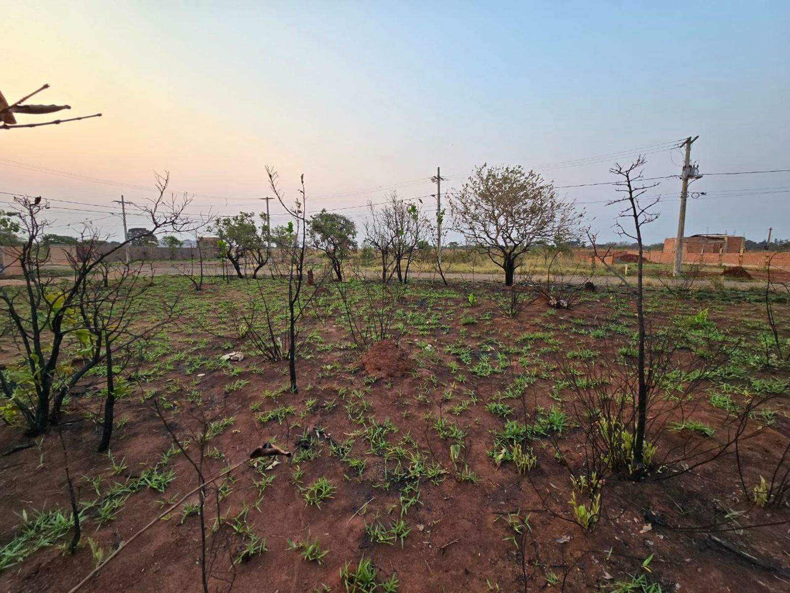 Terreno à venda no Vila Nasser: 