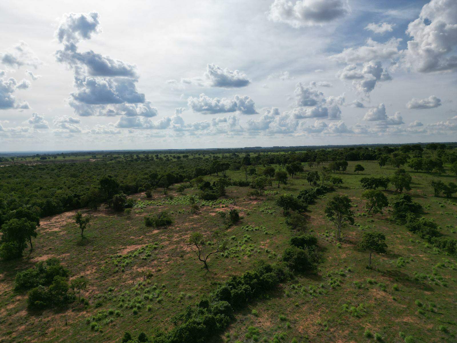 Chácara à venda no Área Rural de Campo Grande: 
