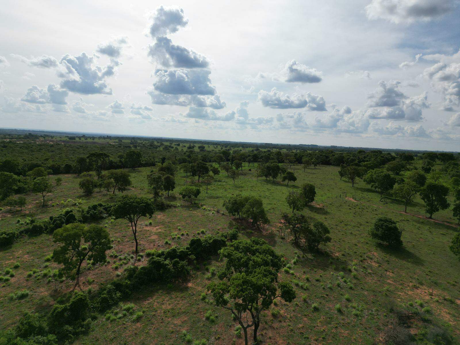 Chácara à venda no Área Rural de Campo Grande: 