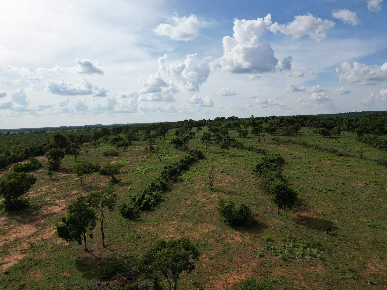 Chácara à venda no Área Rural de Campo Grande: 