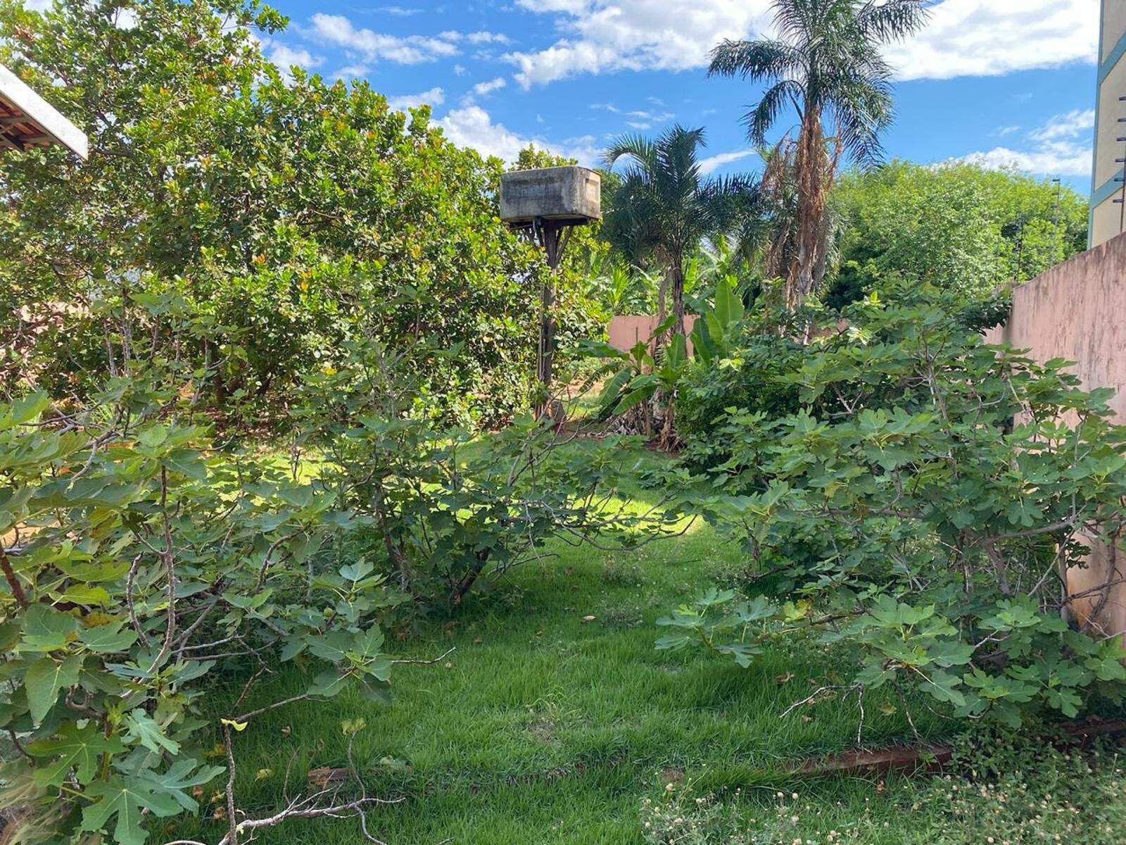 Casa Térrea à venda no Vila Bandeirante: 