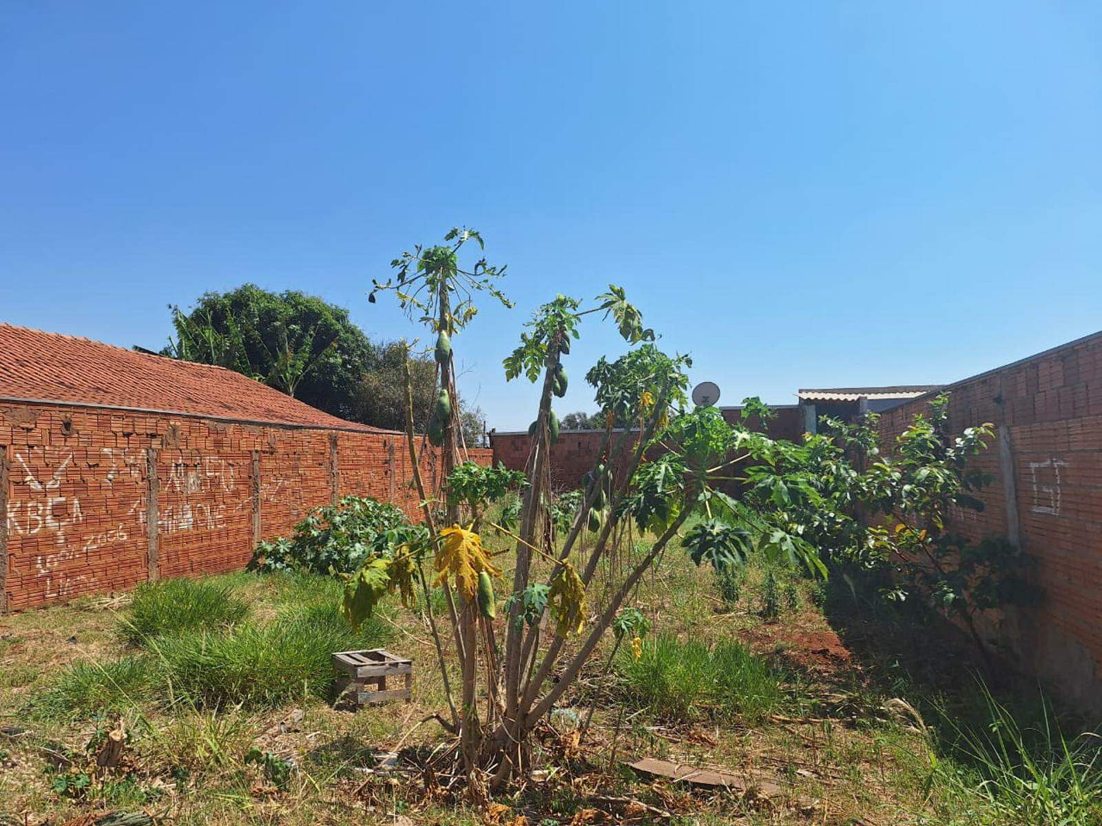 Terreno à venda no Parque Isabel Gardens: 