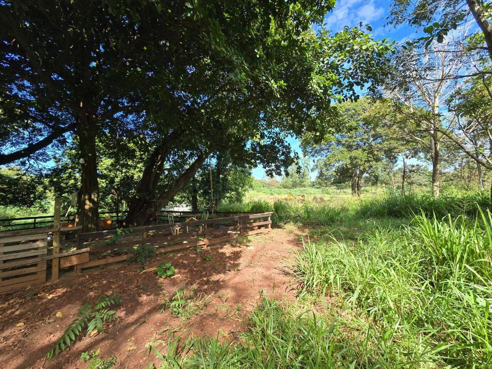 Sítio à venda no Zona Rural: 