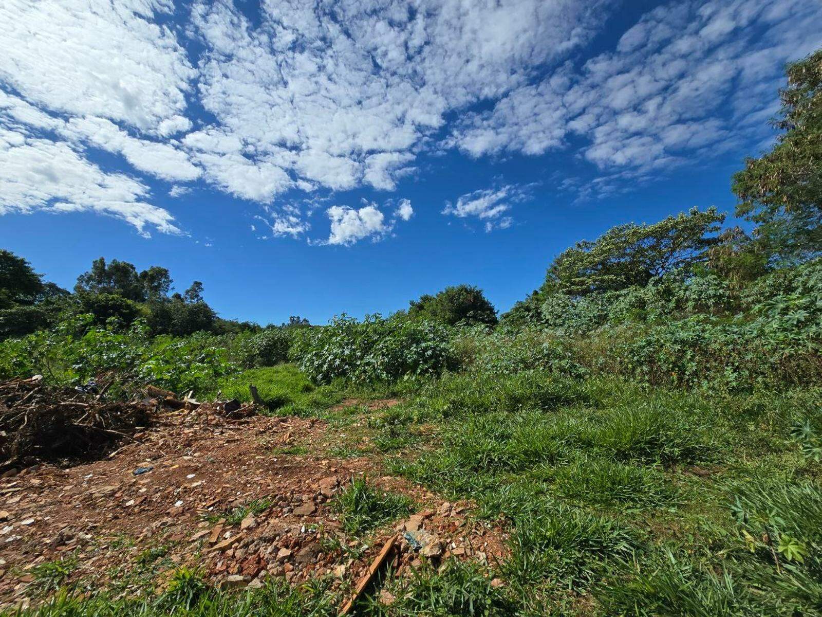 Sítio à venda no Zona Rural: 