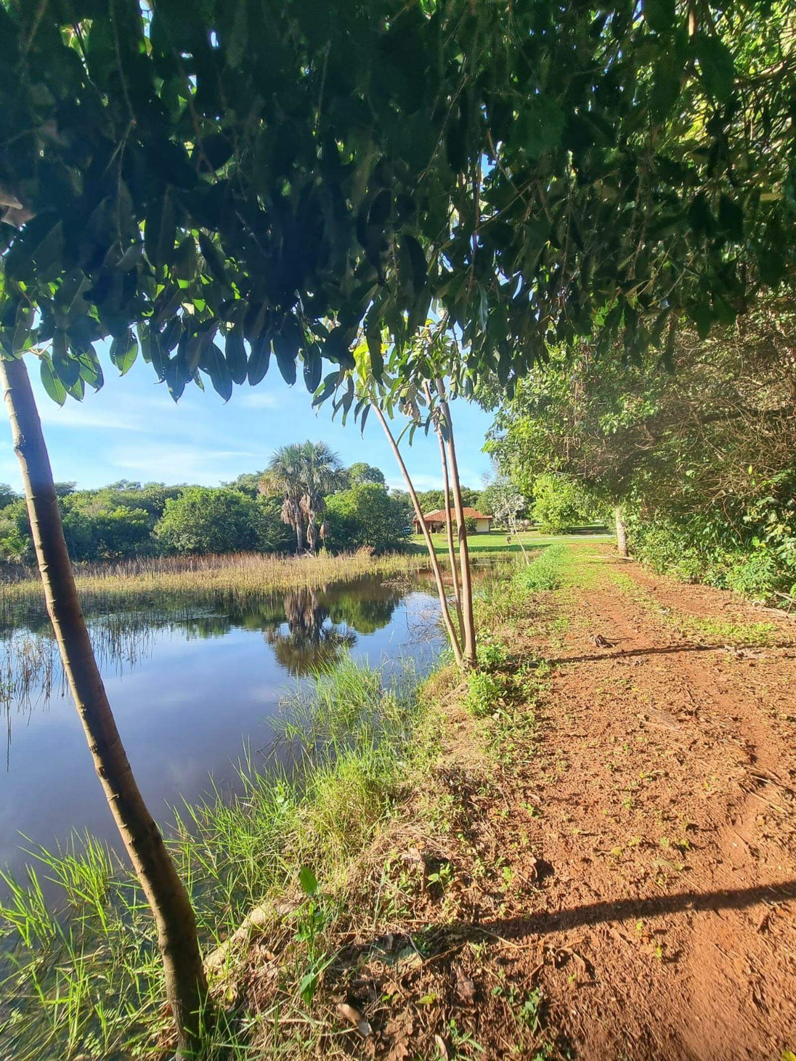 Chácara à venda no Área Rural de Campo Grande: 