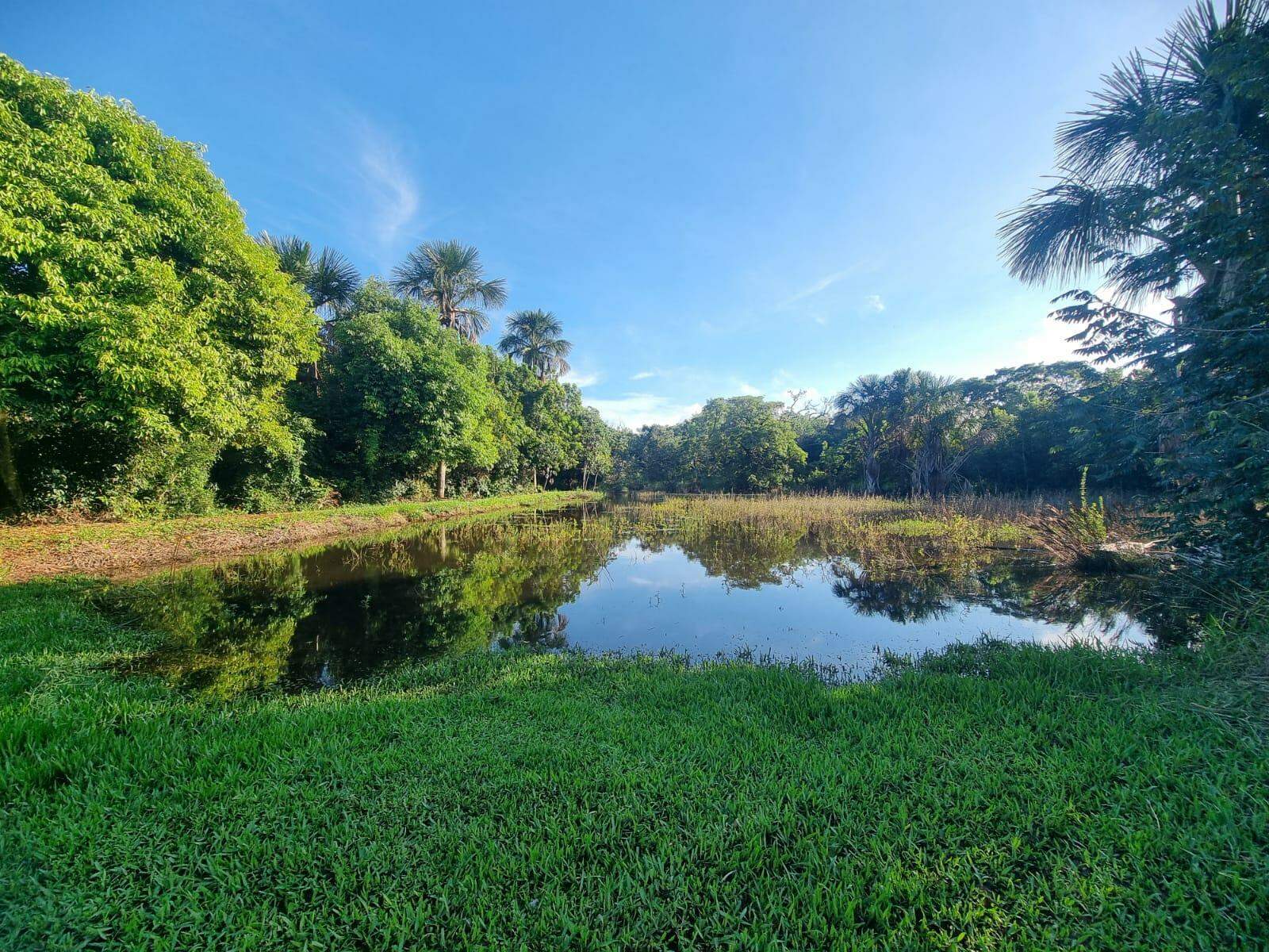 Chácara à venda no Área Rural de Campo Grande: 