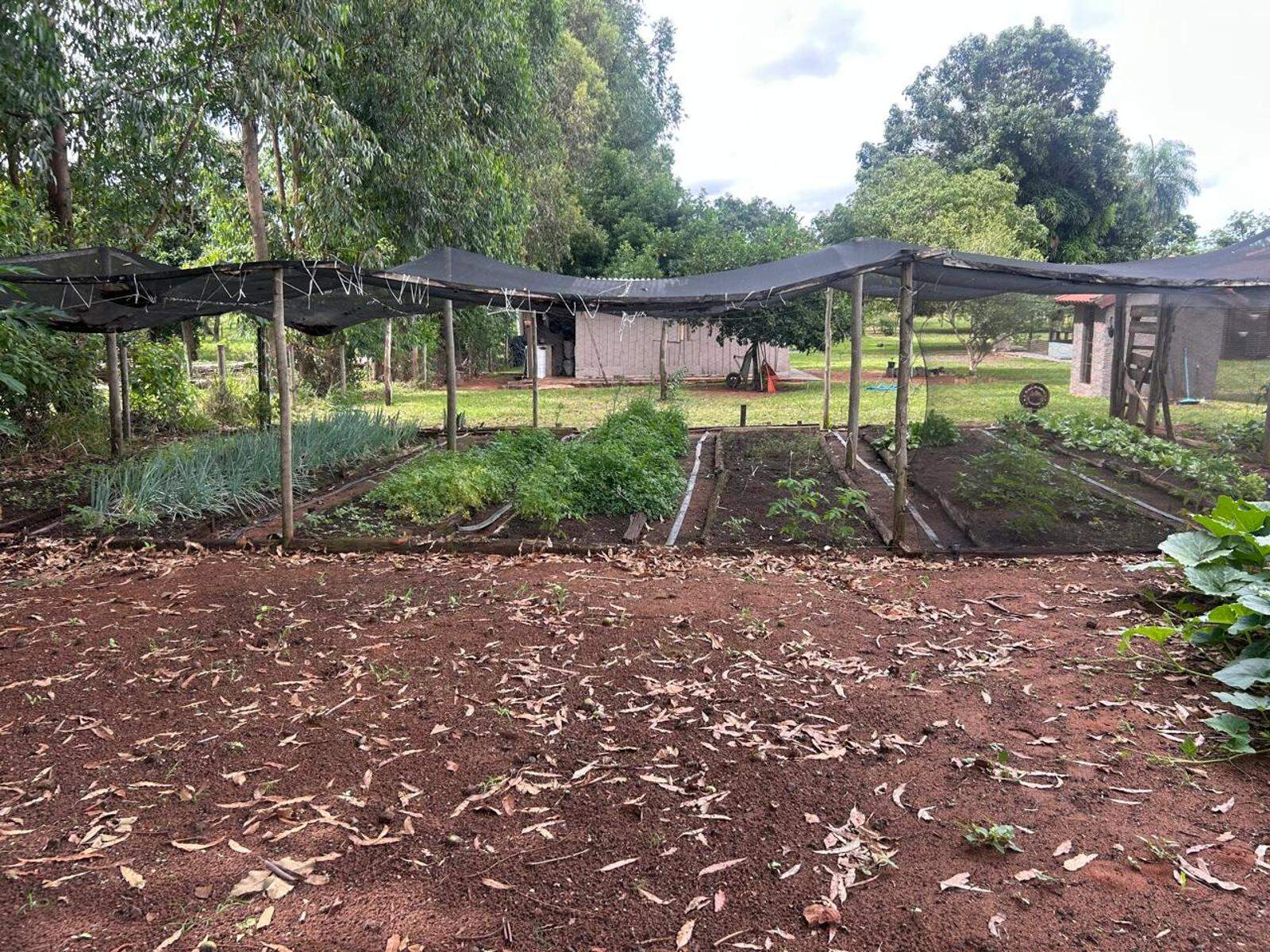 Chácara à venda no Área Rural de Campo Grande: 