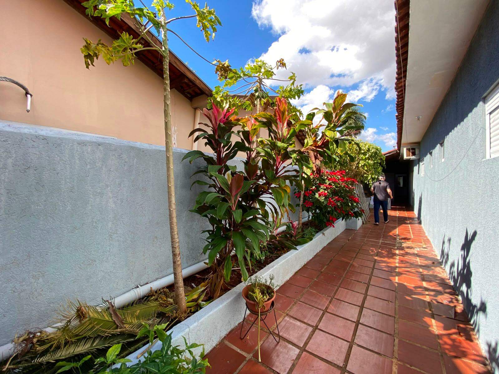 Casa Térrea para aluguel no Vila Nossa Senhora das Graças: 