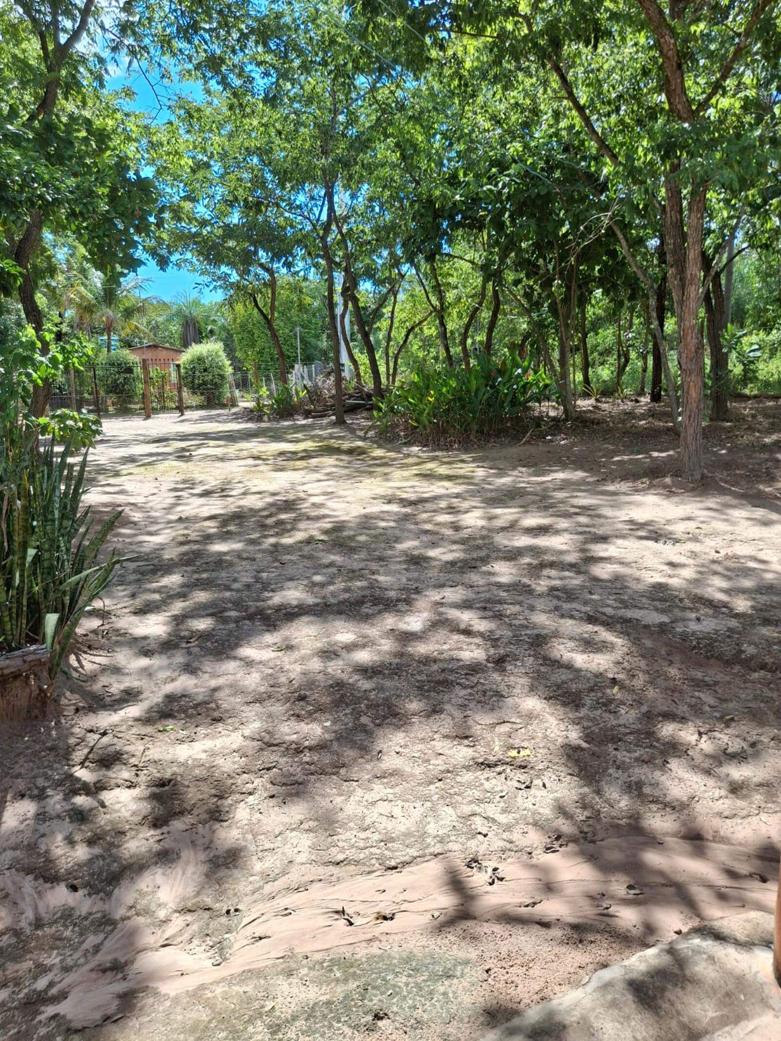 Chácara à venda no Zona Rural: 