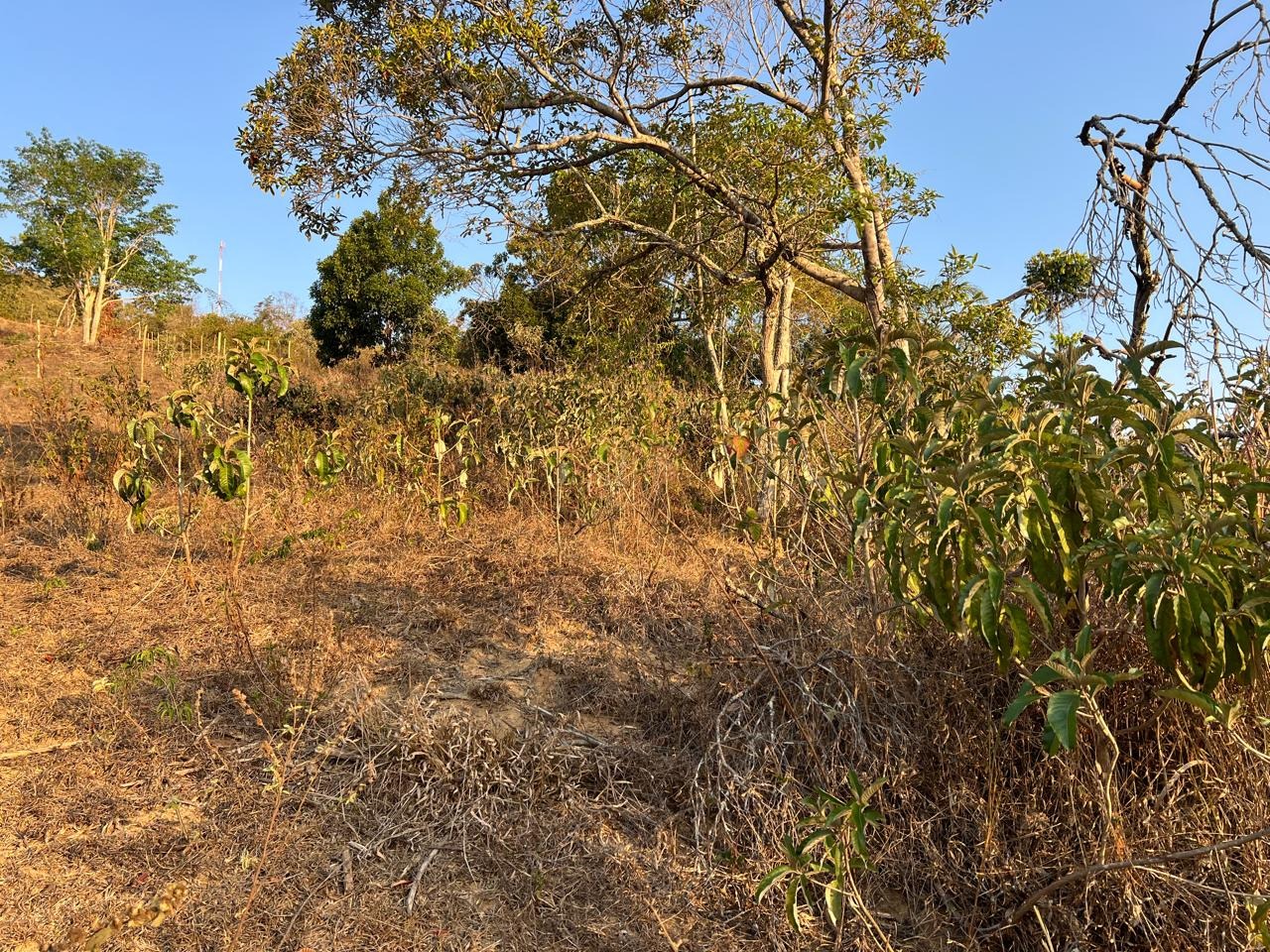 Lote à venda no Magalhães: 