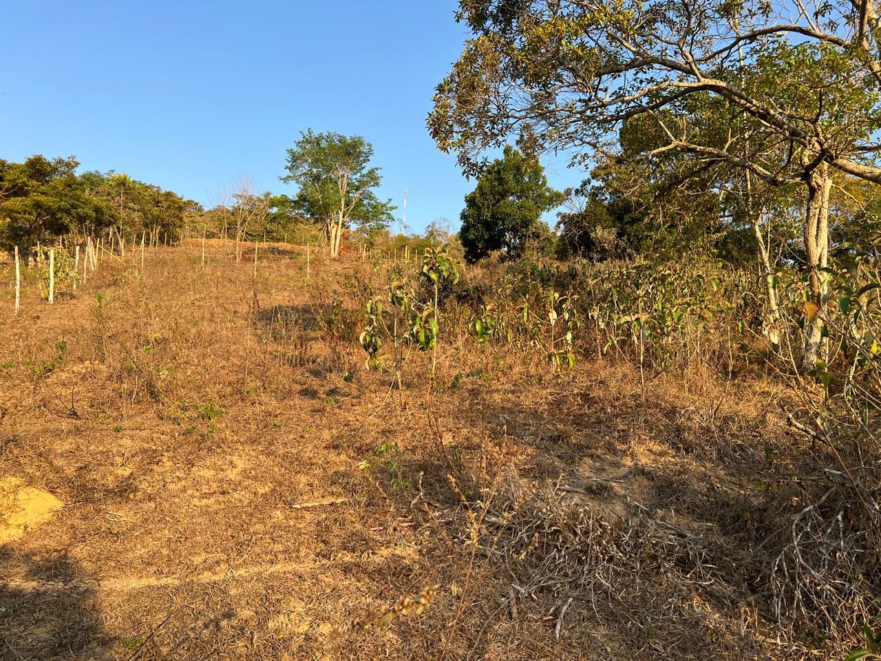 Lote à venda no Magalhães: 