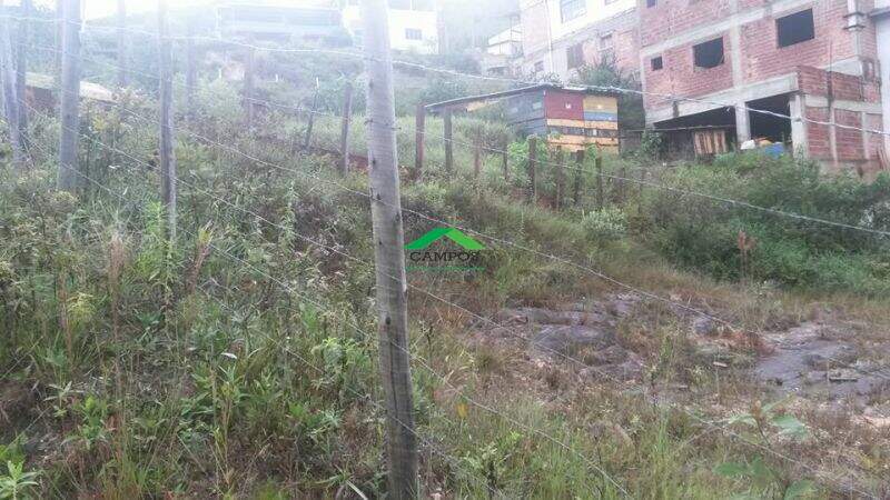 Lote à venda no Poçinho: 