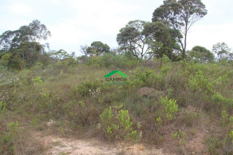 Fazenda à venda no Rancharia: 