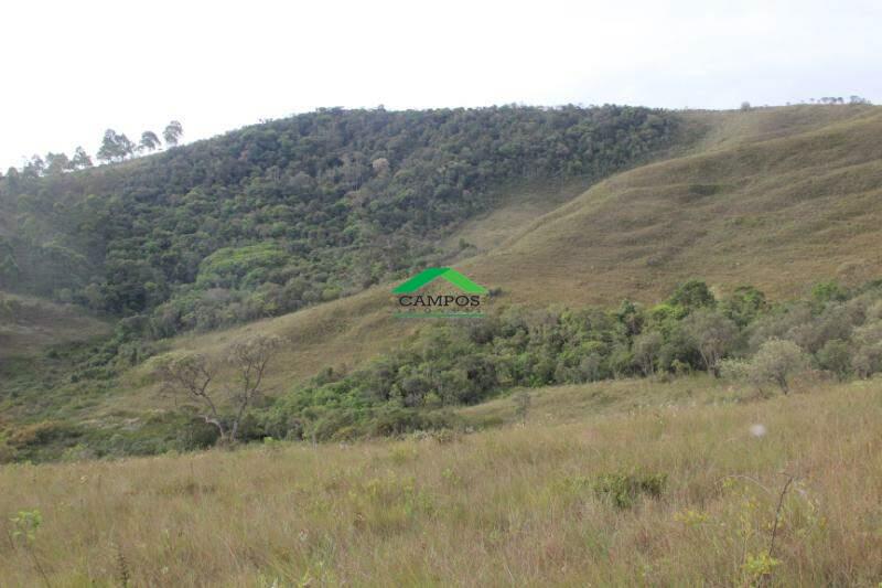 Fazenda à venda no Rancharia: 