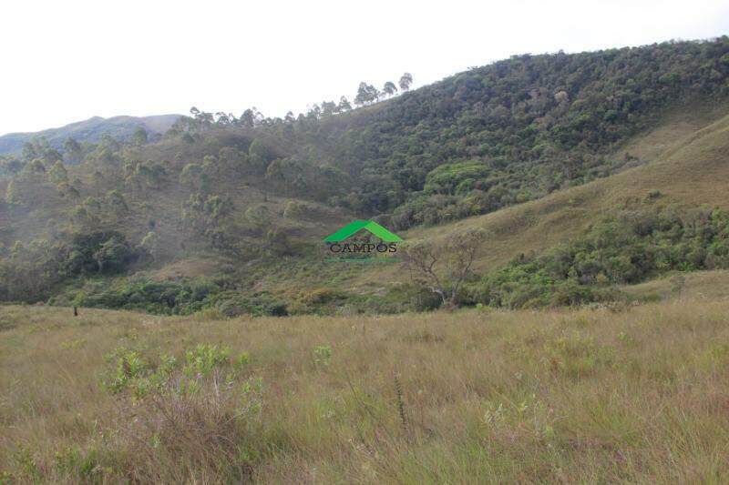 Fazenda à venda no Rancharia: 