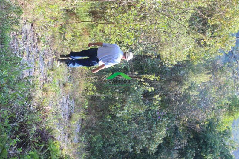 Fazenda à venda no Rancharia: 