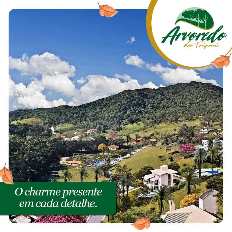 Lotes em Condomínio à venda no Condonimio Arvoredo Do Tripui: 