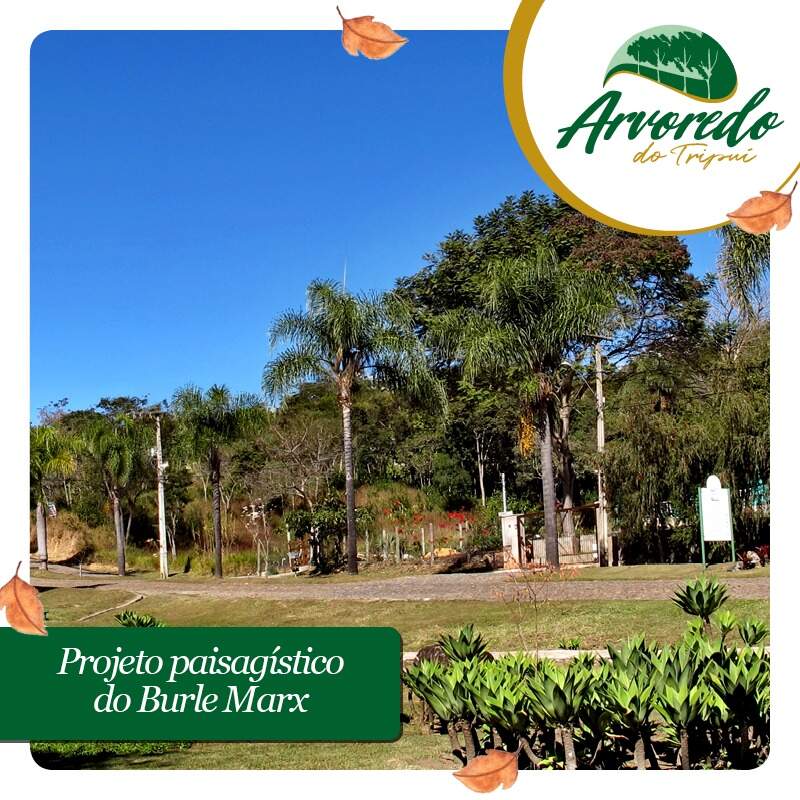 Lotes em Condomínio à venda no Condonimio Arvoredo Do Tripui: 