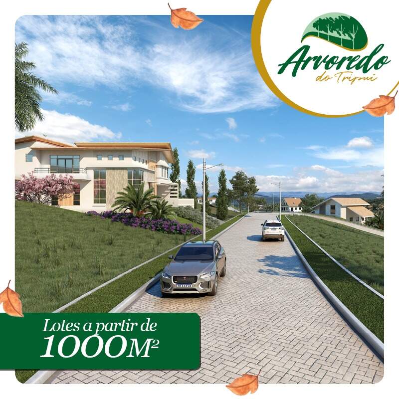Lotes em Condomínio à venda no Condonimio Arvoredo Do Tripui: 