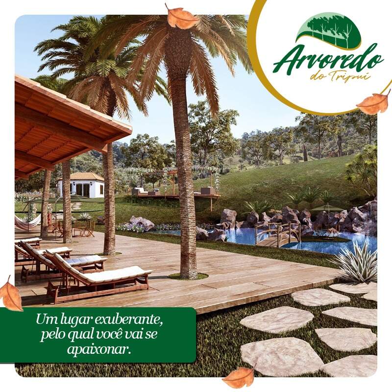 Lotes em Condomínio à venda no Condonimio Arvoredo Do Tripui: 