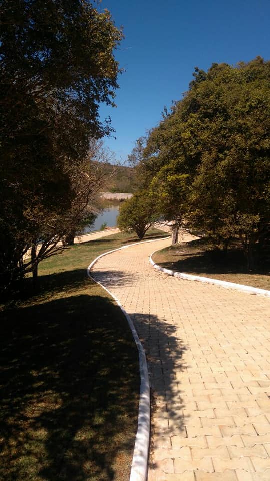 Lotes em Condomínio à venda no Condominio Lagoa Park: 