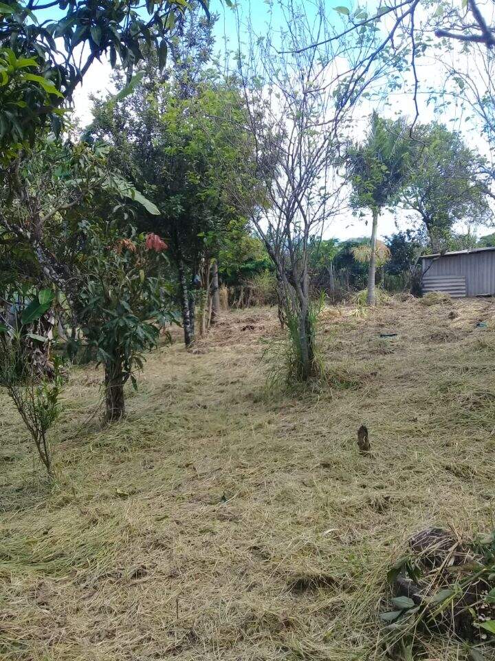 Lote à venda no Gouveia: 