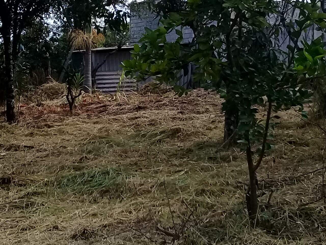 Lote à venda no Gouveia: 