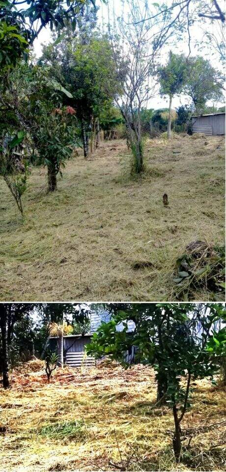 Lote à venda no Gouveia: 