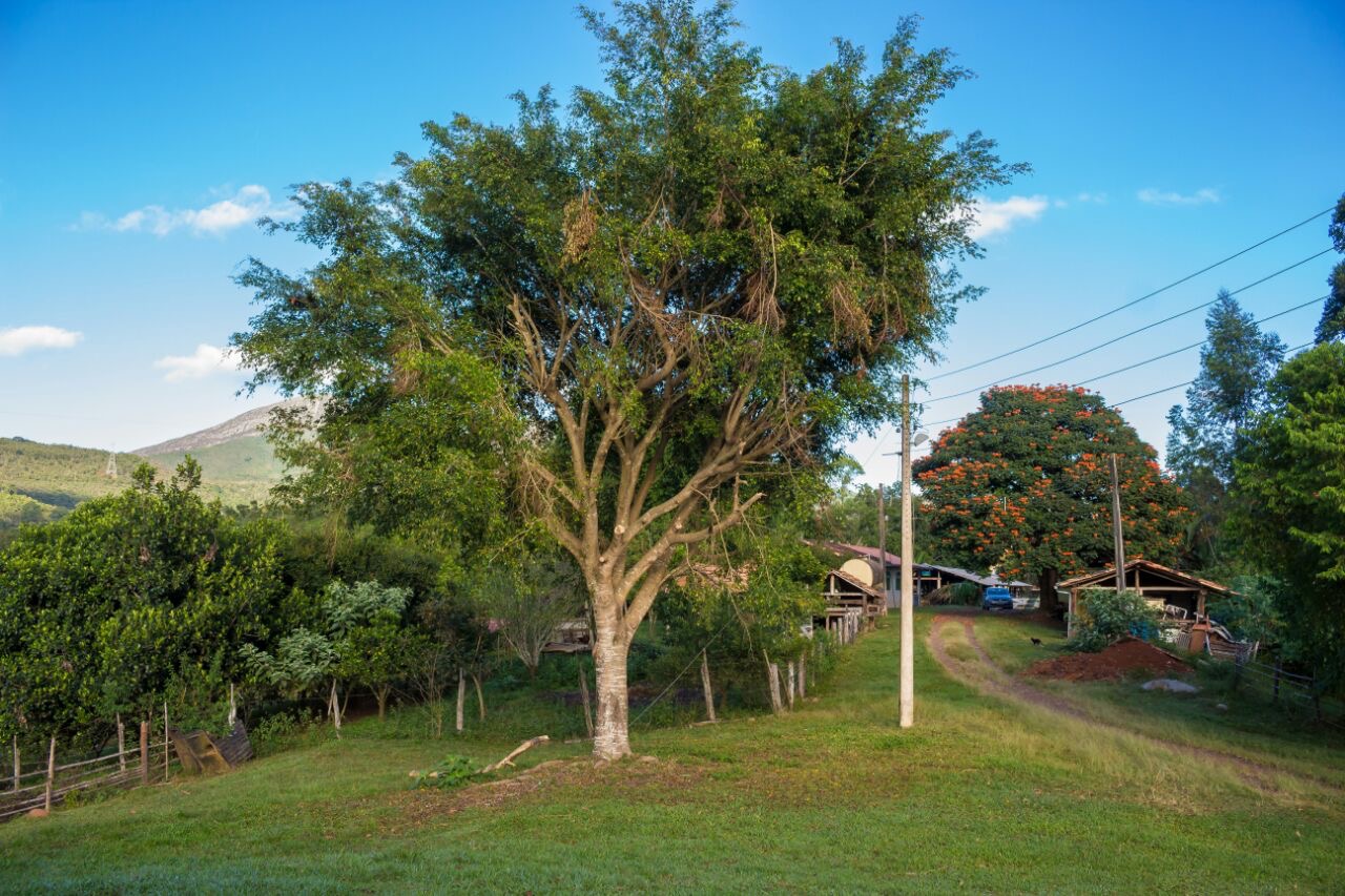Fazenda à venda no Padre Viegas: 