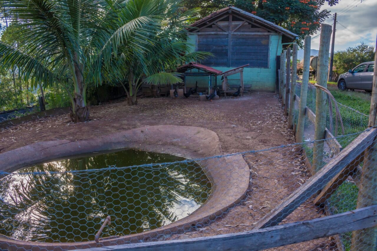 Fazenda à venda no Padre Viegas: 