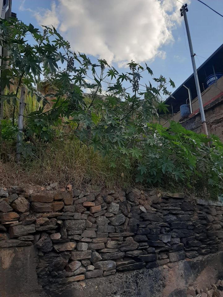 Lote à venda no Alto Da Cruz: 