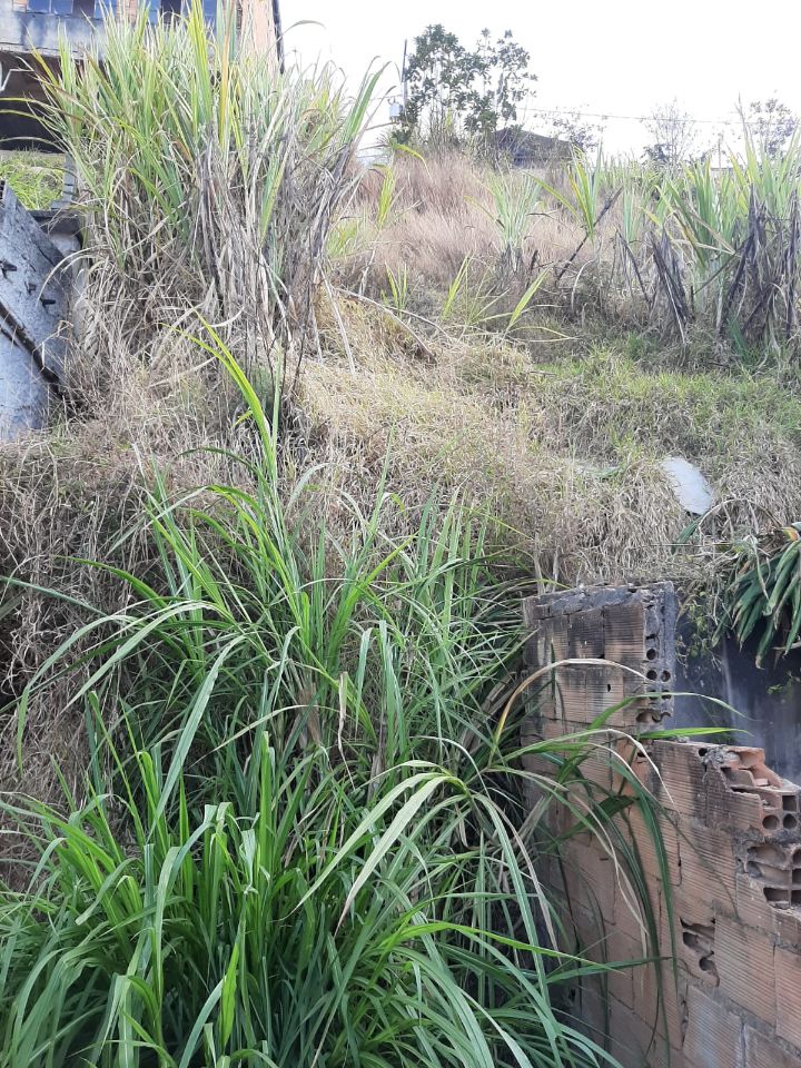 Lote à venda no Alto Da Cruz: 