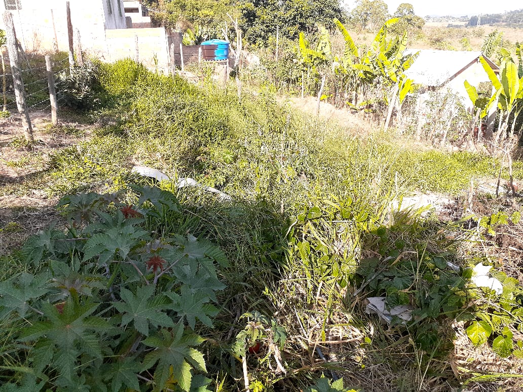 Lote à venda no Vila Do Cruzeiro: 
