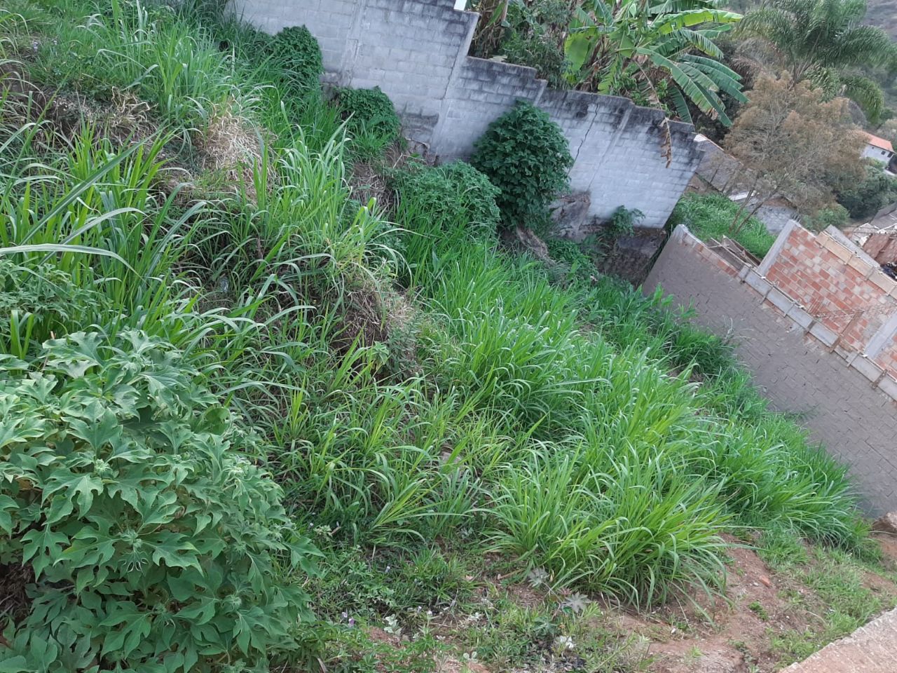 Lote à venda no Nossa Senhora Do Carmo: 