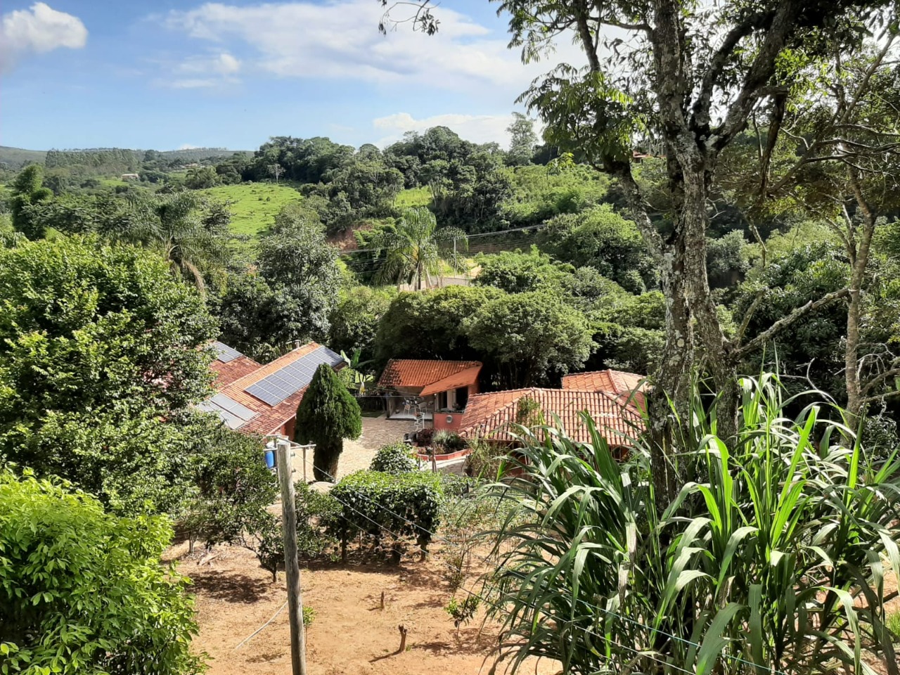Sítio à venda no Santo Antônio Do Leite: 