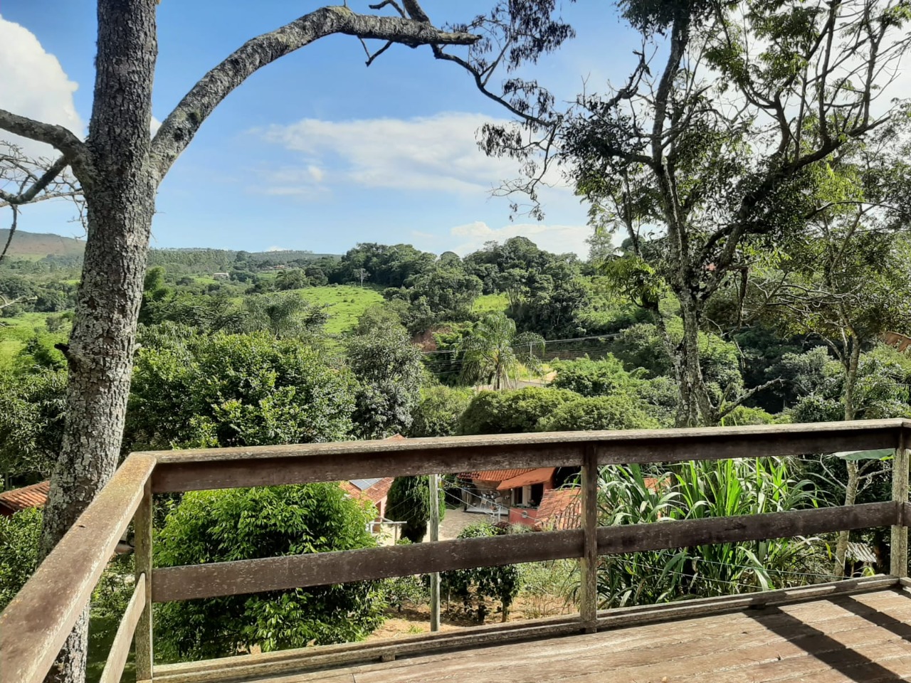 Sítio à venda no Santo Antônio Do Leite: 