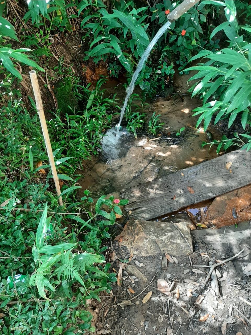 Sítio à venda no Santo Antônio Do Leite: 